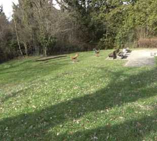 Spielplatz Lortzingweg