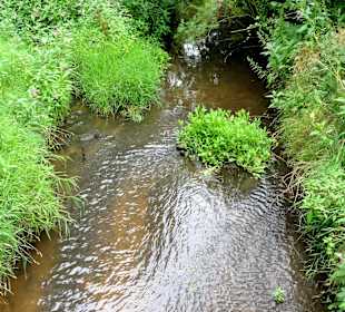 Spaziergang durch das Schönebecker Auetal
