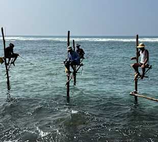 Stilt fishing