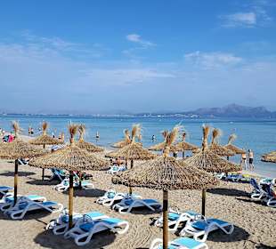 Beach: Can Picafort (Mallorca)