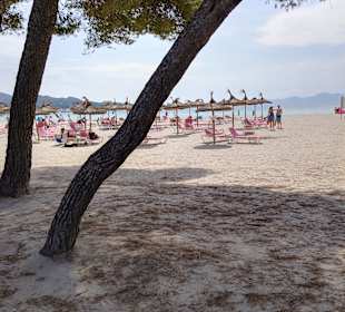 Strand Alcudia