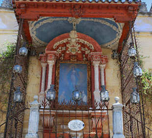 Paseo por la judería y patios de Córdoba