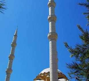 Die Moschee mit Rückfahrt Manavgat