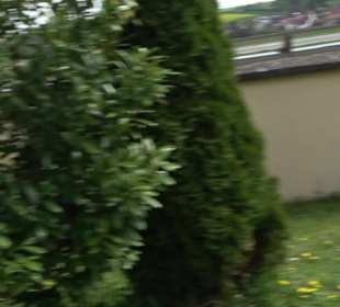 Kirche St. Johannes der Täufer Kleinerdlingen