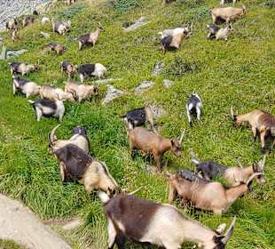 Wandern Ridnaun Ratschings