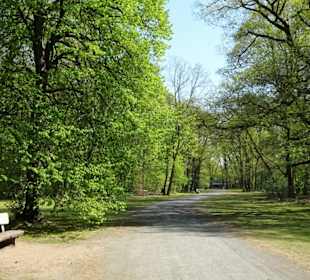 Eindrücke aus dem Prinz-Albrecht-Park