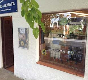Diving Almata Entrance