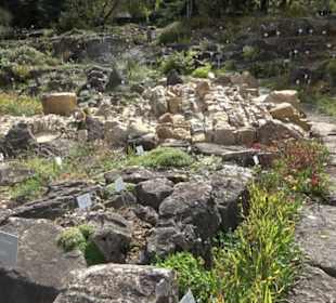 Alpinum