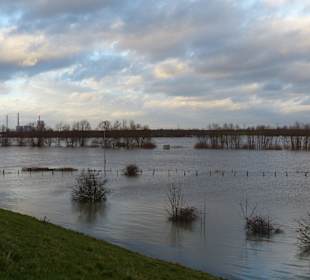 Nochmal ein Blick auf den "Vater Rhein"