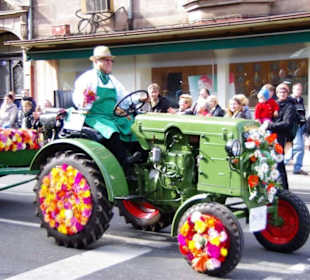 Stadtverband der Kleingärtner