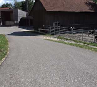 Haupt- und Landgestüt Marbach