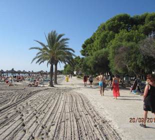 Nur wenige Minuten vom JS Hotel Sol de Alcudia ist dieser St