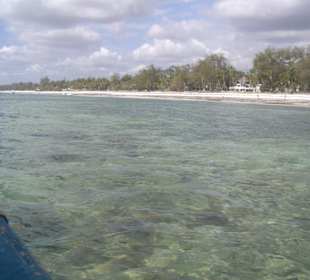 Ausflug Glasbodenboot Diani Beach