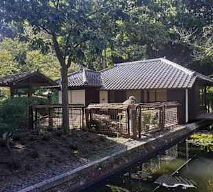 Japanischer Garten in Kaiserslautern