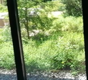 Spa Deep Nature - Park Allgäu