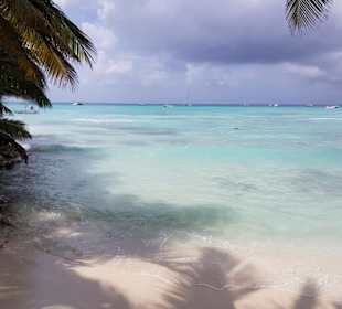 Isla Saona