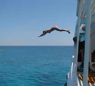 Sprung vom Deck ins kühle Nass