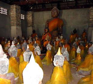 Viele Buddhas