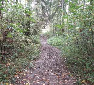 Naturschutzgebiet Listhof