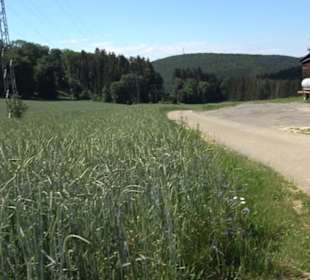 Burg Hölnstein Stetten u. Holstein