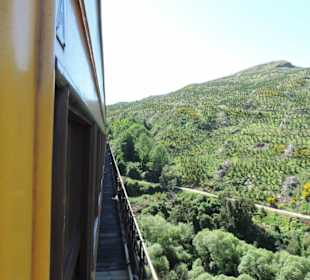 Mit der Taieri Railway durch die Natur Neuselands