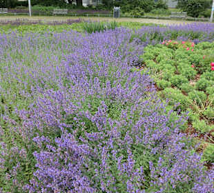 Unterwegs in Magdeburg