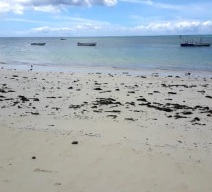 Strand Jambiani