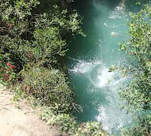 Quad-Safari Highlight