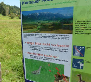 Wandern Murnau am Staffelsee
