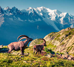Wandern im Versazca Tal