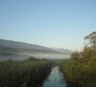 Herbstliche Impressionen vom Seerundweg