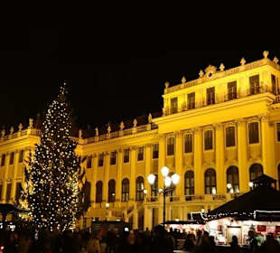 Blick aufs Schloss Schönbrunn
