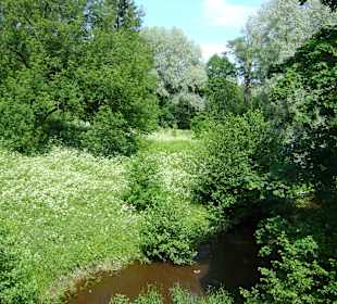 Zespół pałacowy Oranienbaum