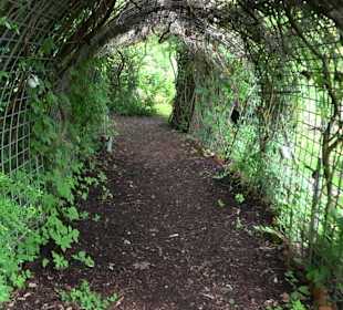 Mezger's Bürgle Park