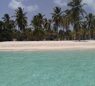 Saona - ein 'Muss' für jeden Besucher