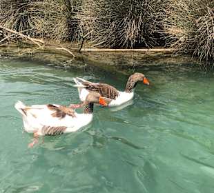 Bootsausflug Georgioupolis