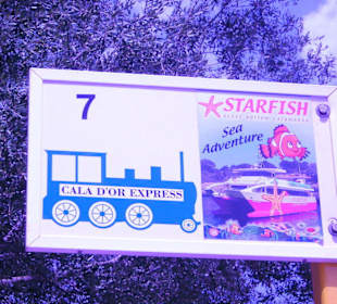 Starfish