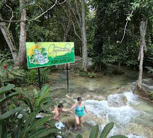 Ausstieg aus den Falls