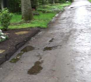 Waldfriedhof Degerloch