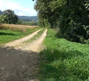 Hochgehnießen - Premiumspazierwanderweg
