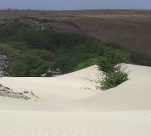 Ausflug im Süden - die Dünen arbeiten sich vor