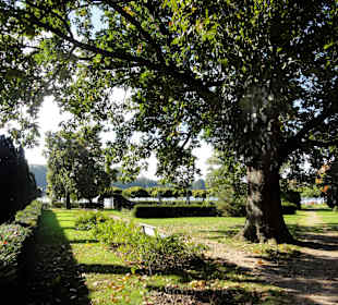Impressionen aus dem Stadtgarten Vegesack