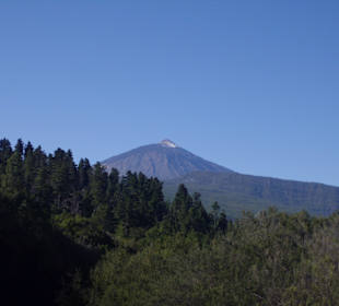 Blick auf den Teide 