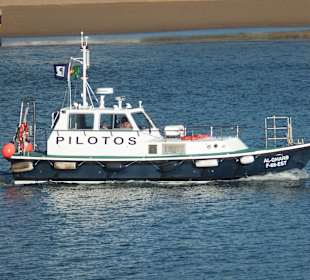 Pilotboot sichert die ausfahrt der Kreuzfahrtschiffe