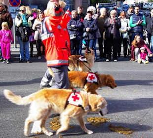 BRK Fürth Fußgrp.3 Festwagen Früher und Heute