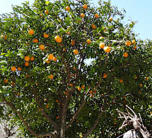 Land und Leute Fahrt