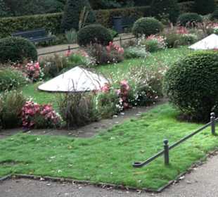 Teehaus im Englischen Garten