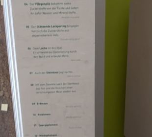 Museum für Naturkunde