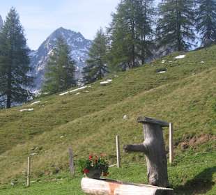 An der Sulzenalm (Walehenhütte)