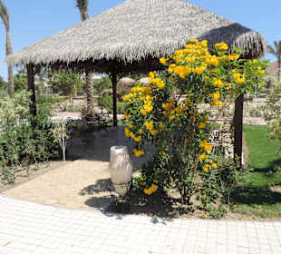 Wasserpark Aquanautico